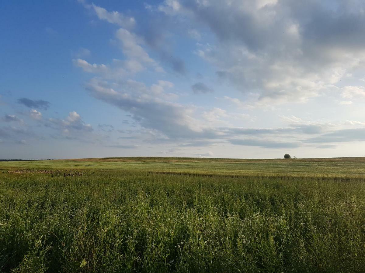 Bio Farma & Penzion Zlaty Hyl Novacany Екстериор снимка